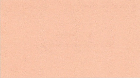 Névjegykártya papír A/4 dekor karton oklevél lazac 210 Rainbow 40 salmon A4 230 g/m2